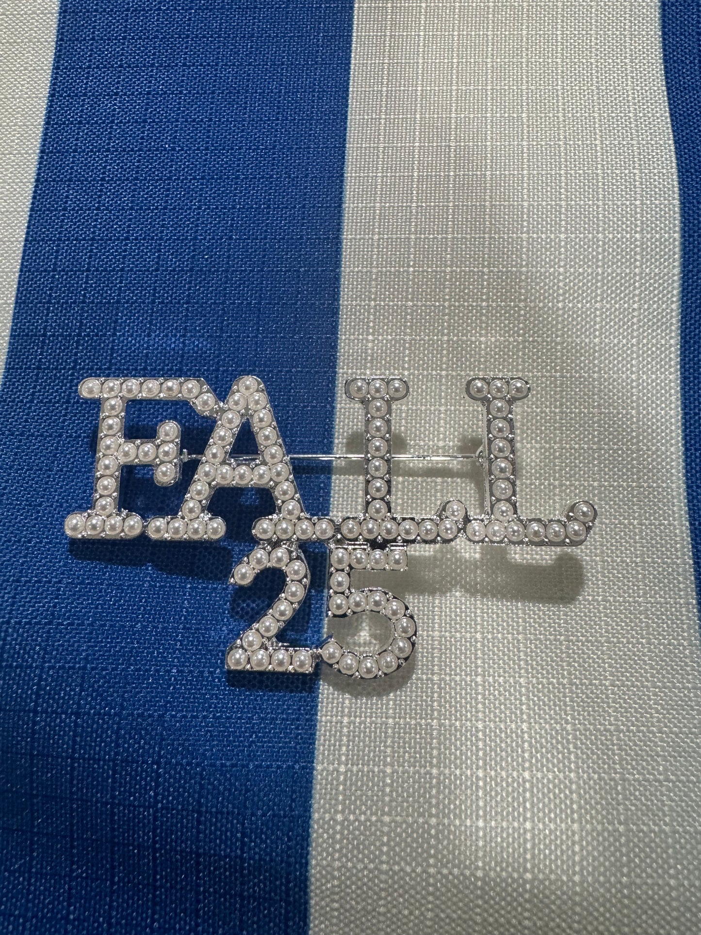 FALL 25  Brooch