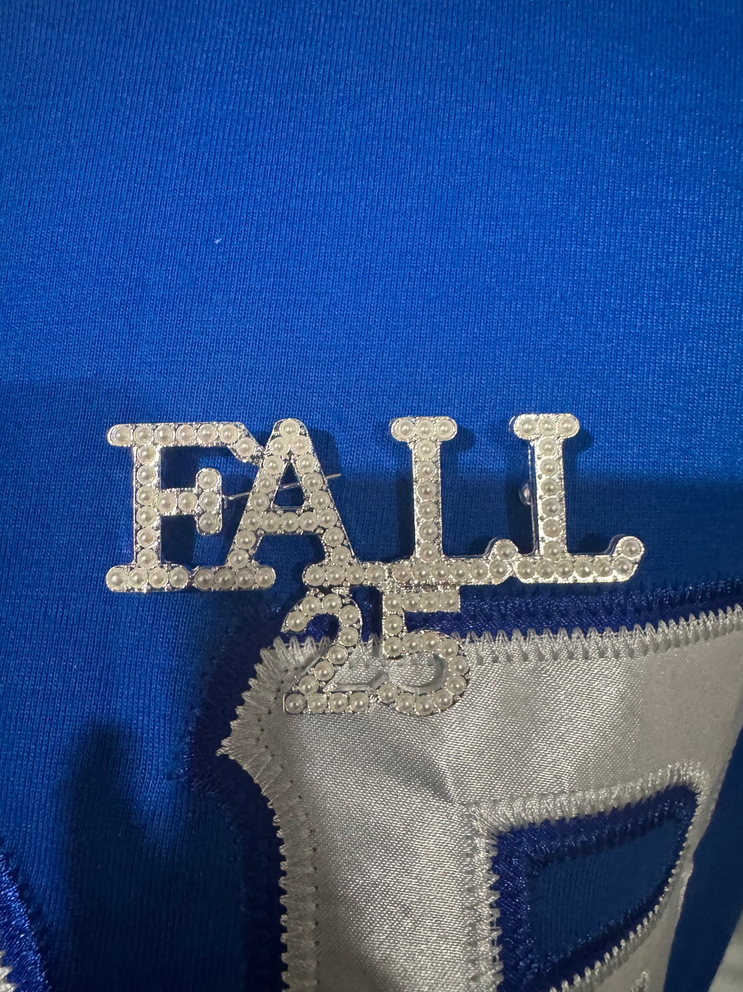 FALL 25  Brooch